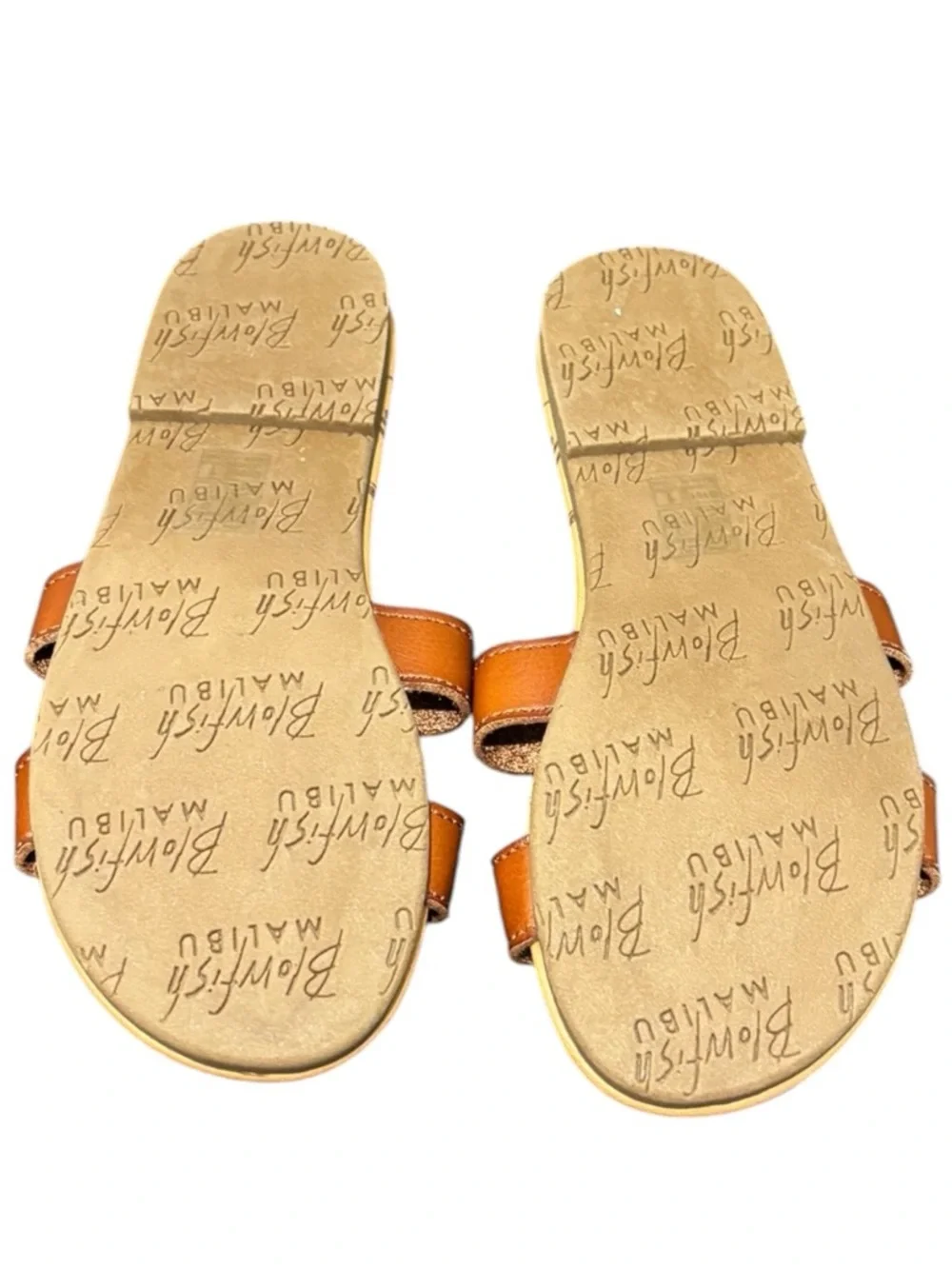 Blowfish Malibu Brown Leather Slide Sandals